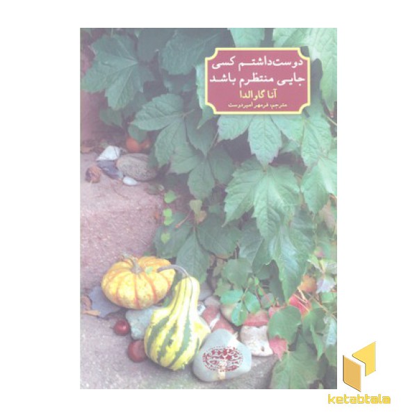 دوست داشتم کسی جایی منتظرم باشد