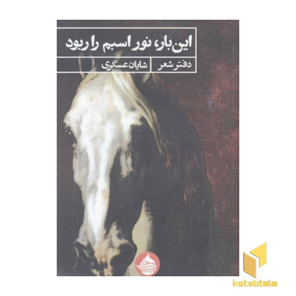 این بار نور اسبم را ربود