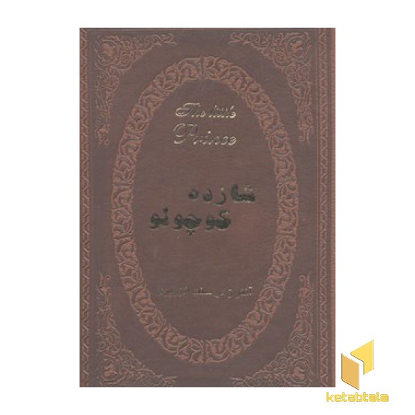 شازده کوچولو