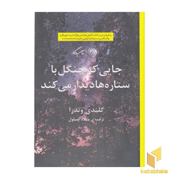 جایی که جنگل با ستاره ها دیدار می کند