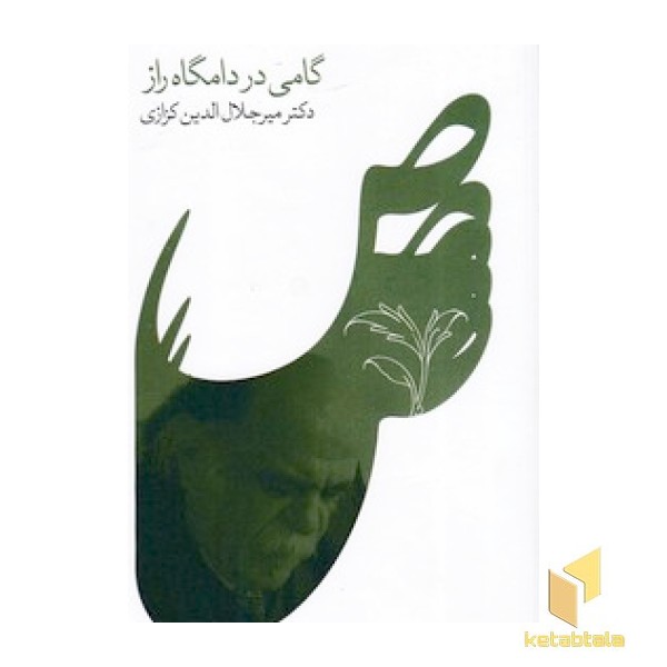 گامی در دامگاه راز