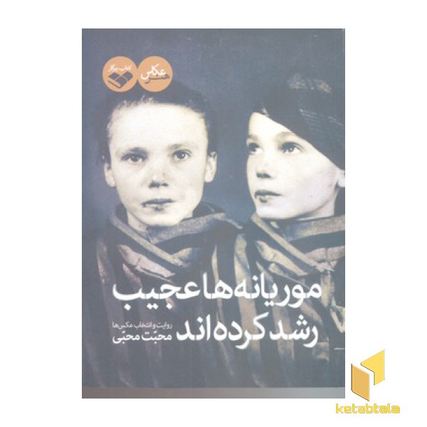 موریانه ها عجیب رشد کرده اند