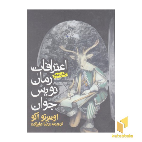 اعتراف یک رمان نویس جوان