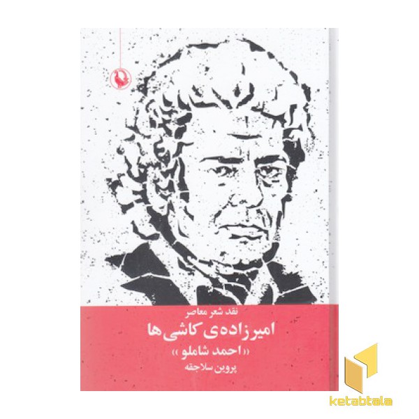 امیرزاده ی کاشی ها