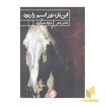 این بار نور اسبم را ربود