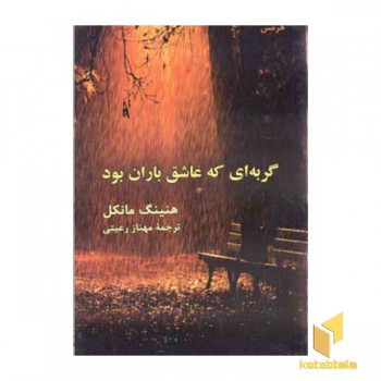 گربه ای که عاشق باران بود