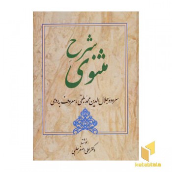شرح مثنوی (جلد 4)