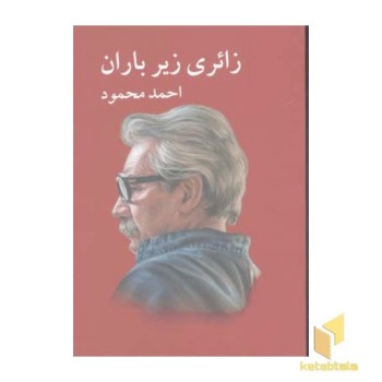 زائری زیر باران