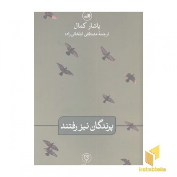پرندگان نیز رفتتند