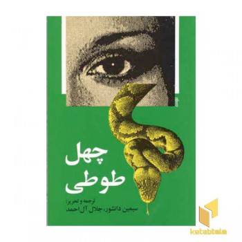 چهل طوطی